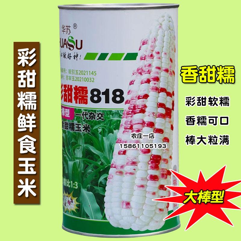 彩甜糯玉米种子大全糯黏玉米种籽