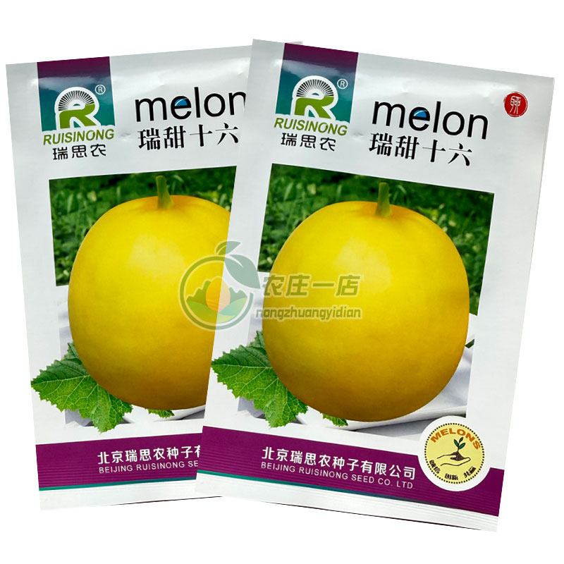 瑞甜十一薄皮甜瓜种子新疆黄皮香瓜种籽果肉白色肉质细腻酥脆爽口