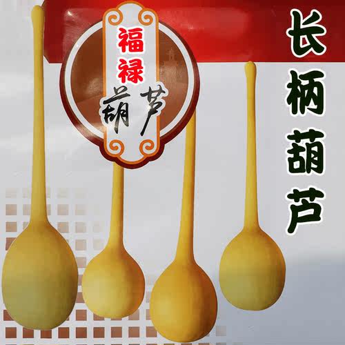 长柄葫芦种子籽种高约80cm可观赏