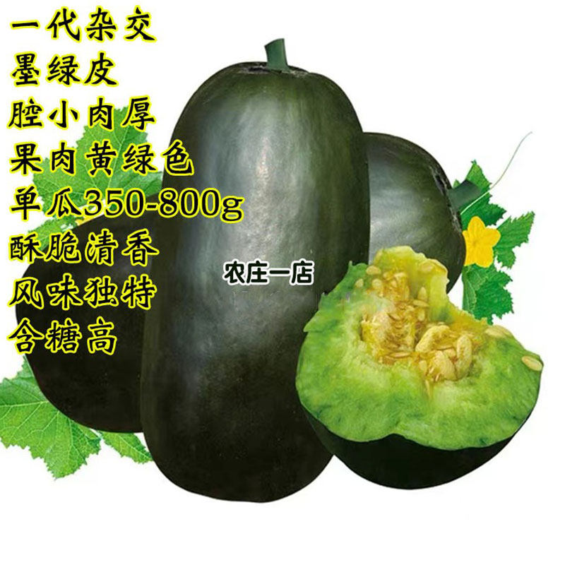 博美8号黑皮甜瓜种子果肉黄绿色酥脆清香香瓜种籽薄皮杂交新品种