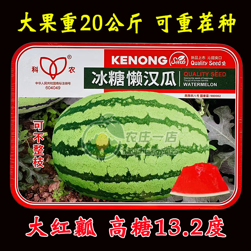 超甜懒汉西瓜种子籽冰糖瓜耐重茬