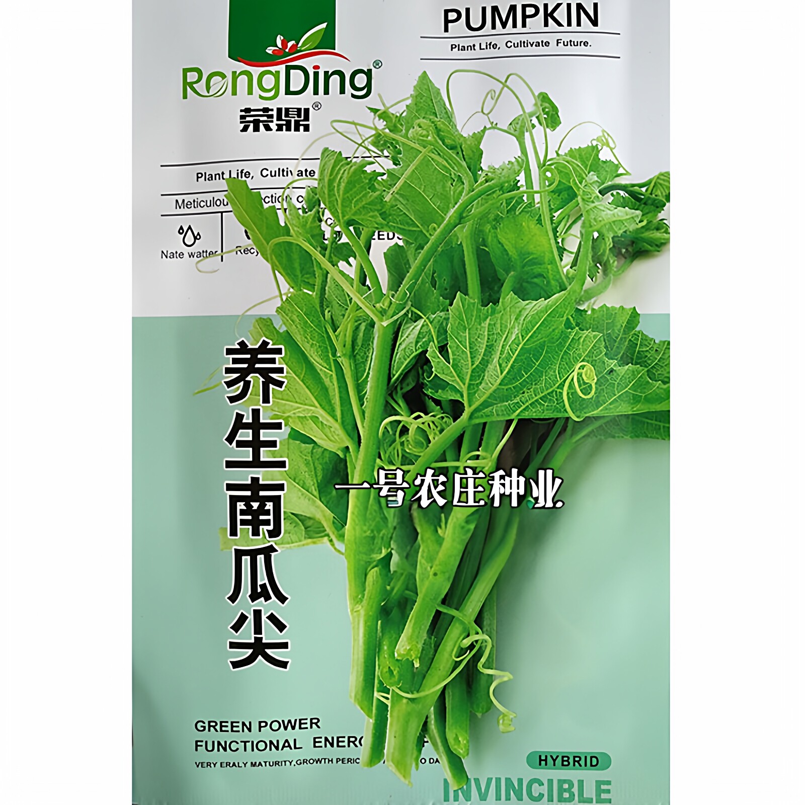 南瓜尖种子种籽孑专吃南瓜藤茎嫩叶蔓苗家庭阳台春夏秋季特色蔬菜