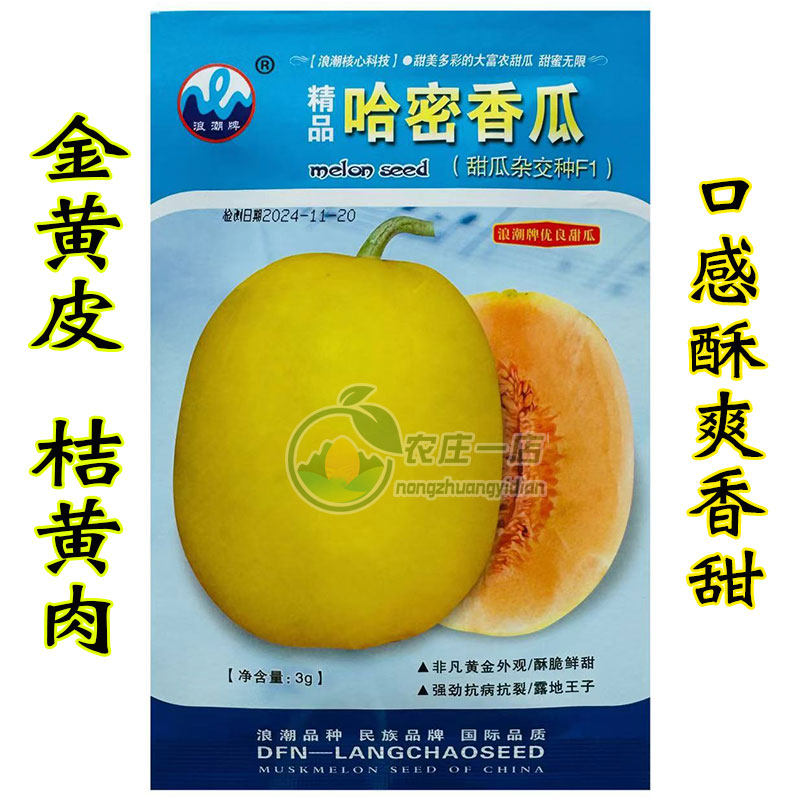 哈蜜香瓜种子籽冰淇淋口感瓜皮也可食用黄皮甜瓜种籽超甜水果种孑