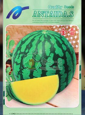 大果黄心西瓜种子种籽8-16斤早熟礼品特小凤甜王麒麟春四季高产