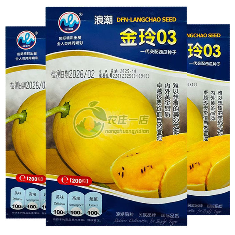 金玲03黄皮黄肉西瓜种子高端礼品西瓜种籽一株多果细脆爽口基地用