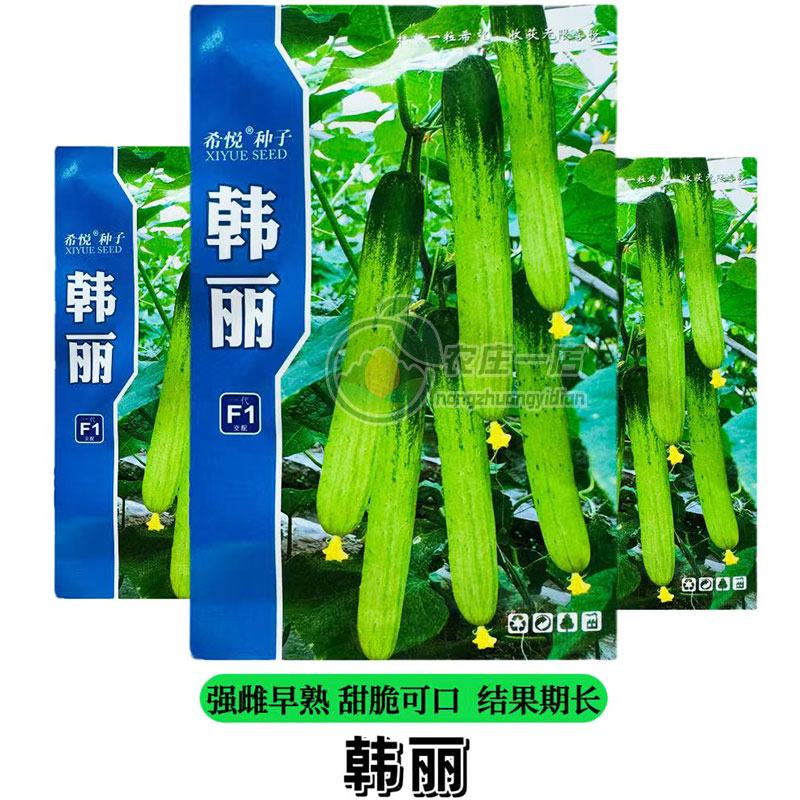 韩丽黄瓜种子强雌高产旱黄瓜种籽