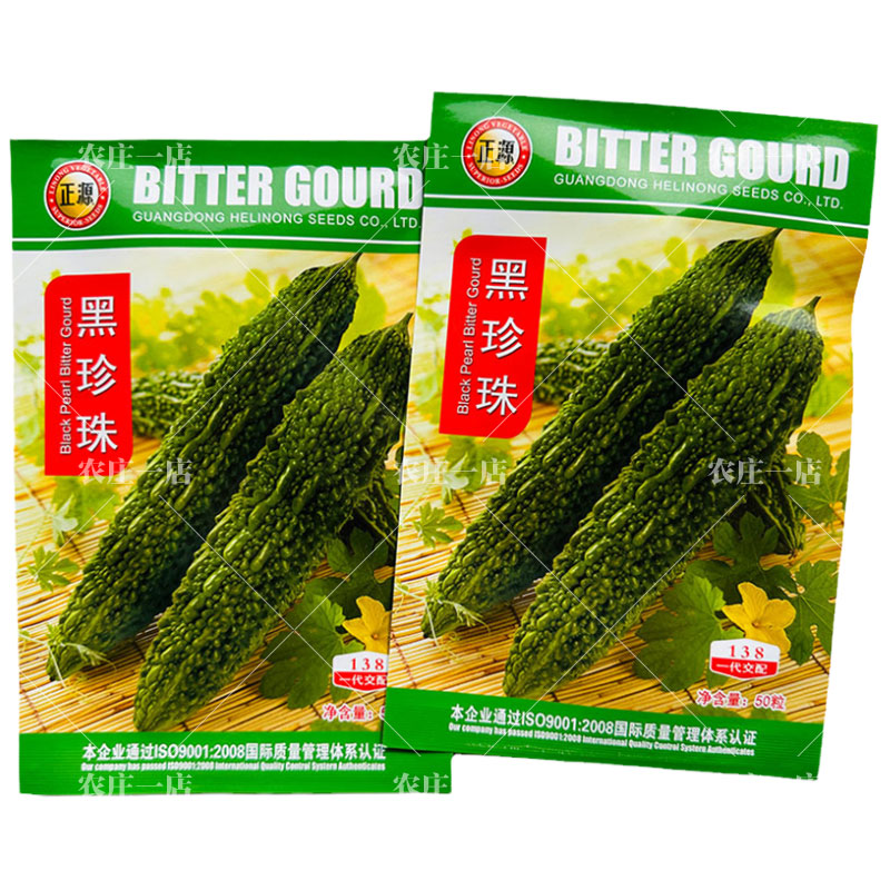 黑珍珠苦瓜种子疙瘩绿苦瓜种籽孑