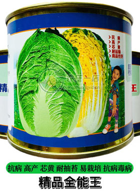 精品全能王大白菜种籽黄心白菜种子抗病高产内叶黄色抗霜霉病宽帮