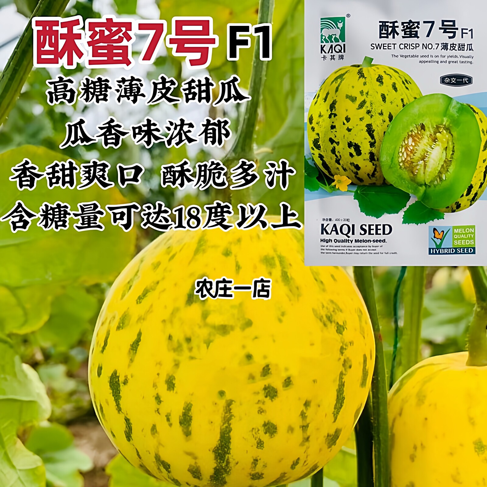酥蜜7号超甜八里香薄皮甜瓜种子