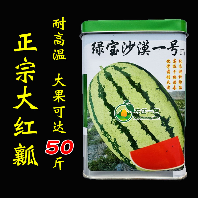 西瓜种子花皮红瓤抗病口感好高产