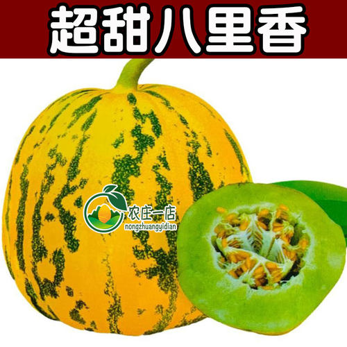 绿瓤八里香种子绿甜瓜薄皮香瓜
