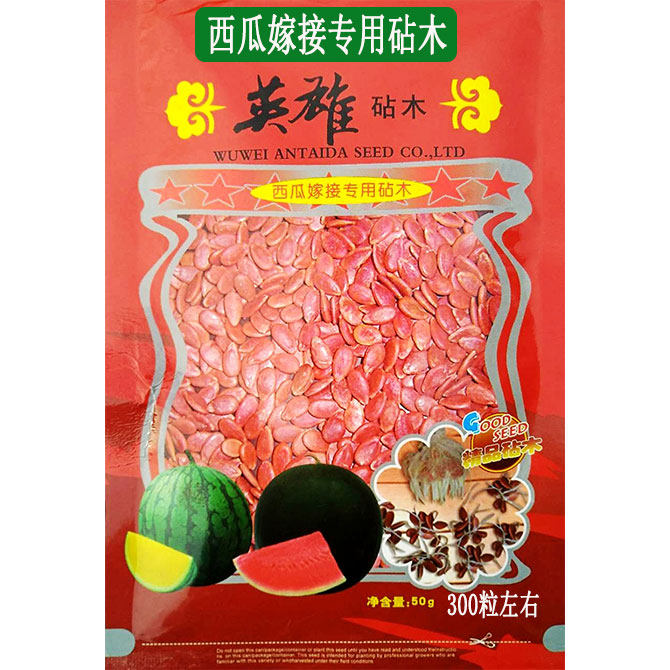 野生西瓜种子嫁接专用砧木抗病强