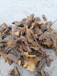 虎杖，晒干苦杖根，顺筋龙川筋灵根手工砍段切片250克不规则中药