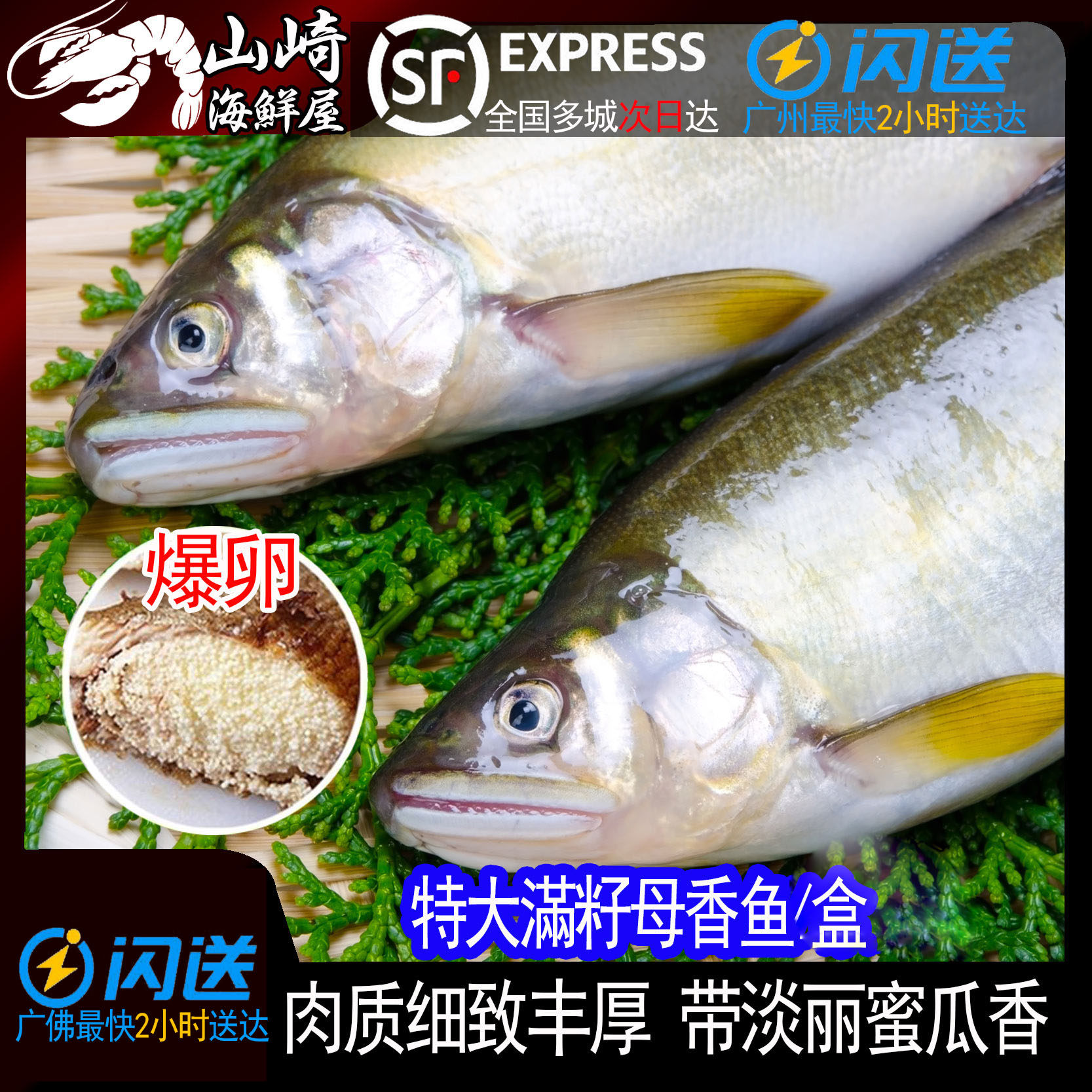 7尾-12尾满籽香鱼新鲜冷冻多籽鱼深海鱼日式食材海鲜烧烤铁