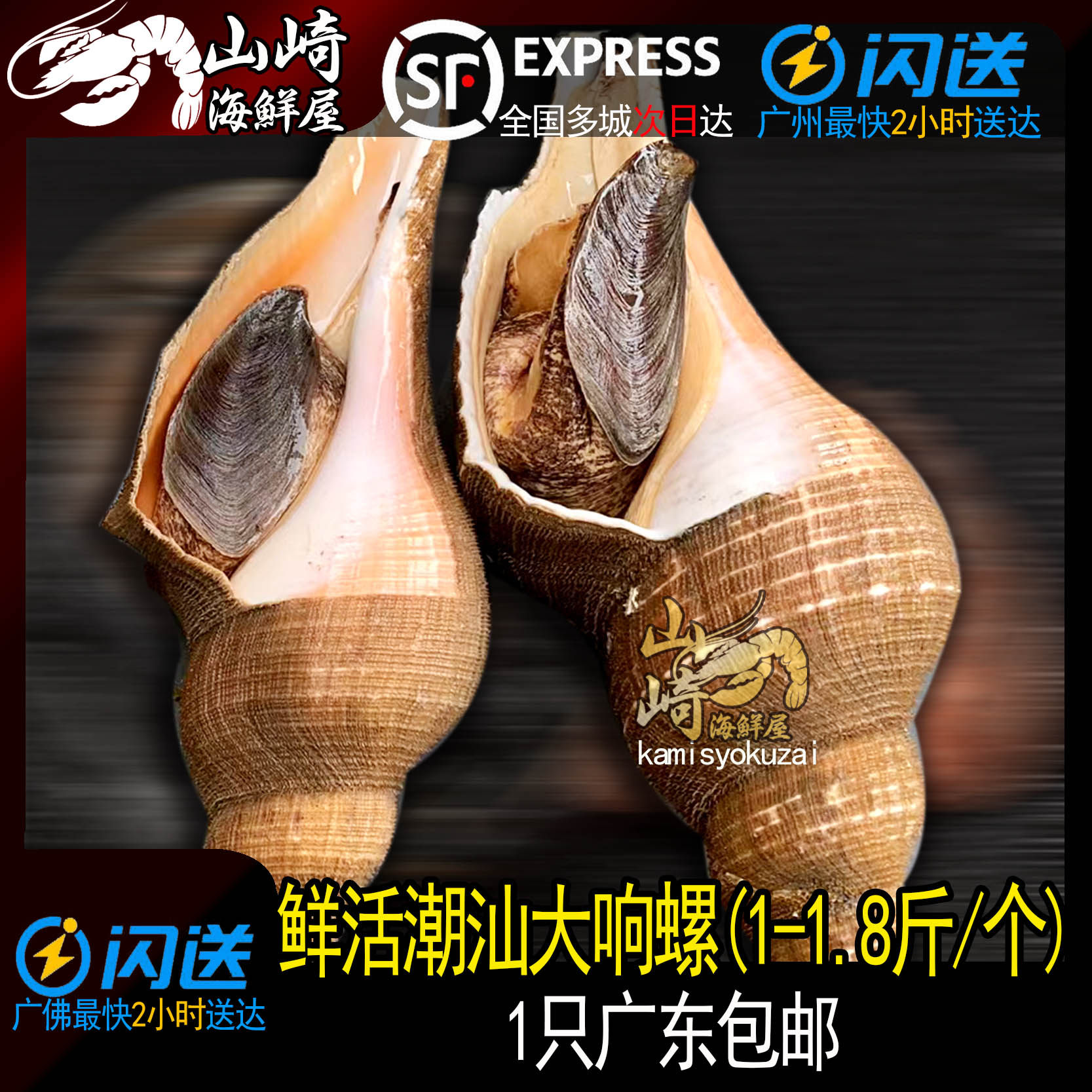 广佛闪送特鲜活潮汕大响螺大海螺特大(1-1.8斤)广东顺丰包邮