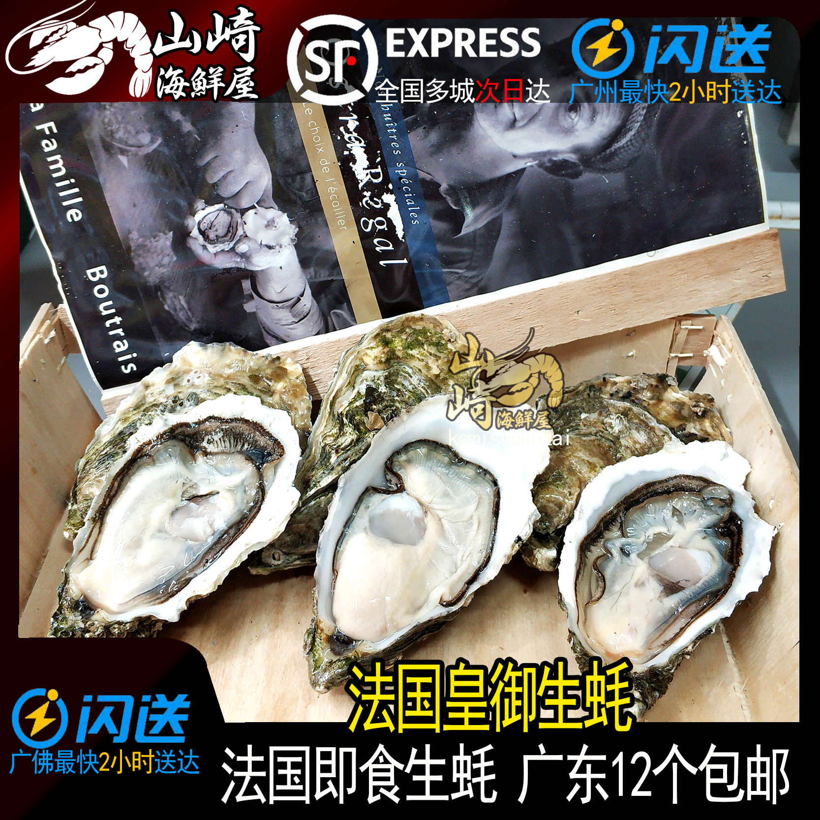 【法国皇御生蚝】进口空运即食牡蛎非吉拉多广东包邮送蚝刀