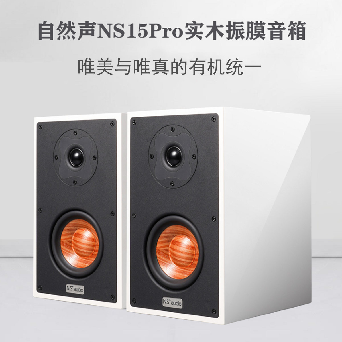书架音箱钢琴烤漆实木振膜低频好