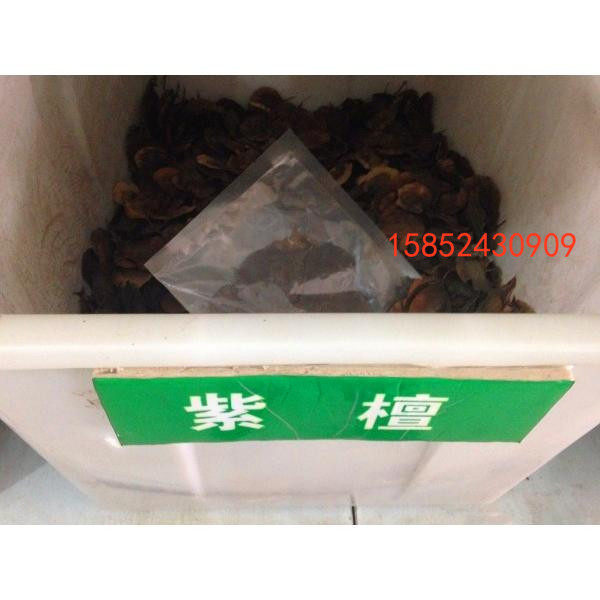 新采印度小叶紫檀种子 青龙木 黄柏木 羽叶檀 紫檀种子包邮