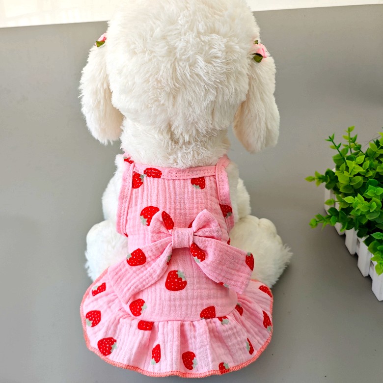 公主狗狗裙子春夏衣服