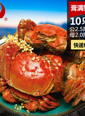 现货大闸蟹清水大闸蟹鲜活螃蟹公蟹2.5两母2蟹两活螃蟹10只装