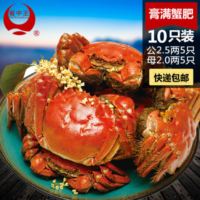 现货大闸蟹清水大闸蟹鲜活螃蟹公蟹2.5两母2蟹两活螃蟹10只装