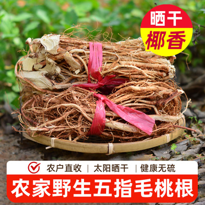 河源农家野生五指毛桃广东煲汤料