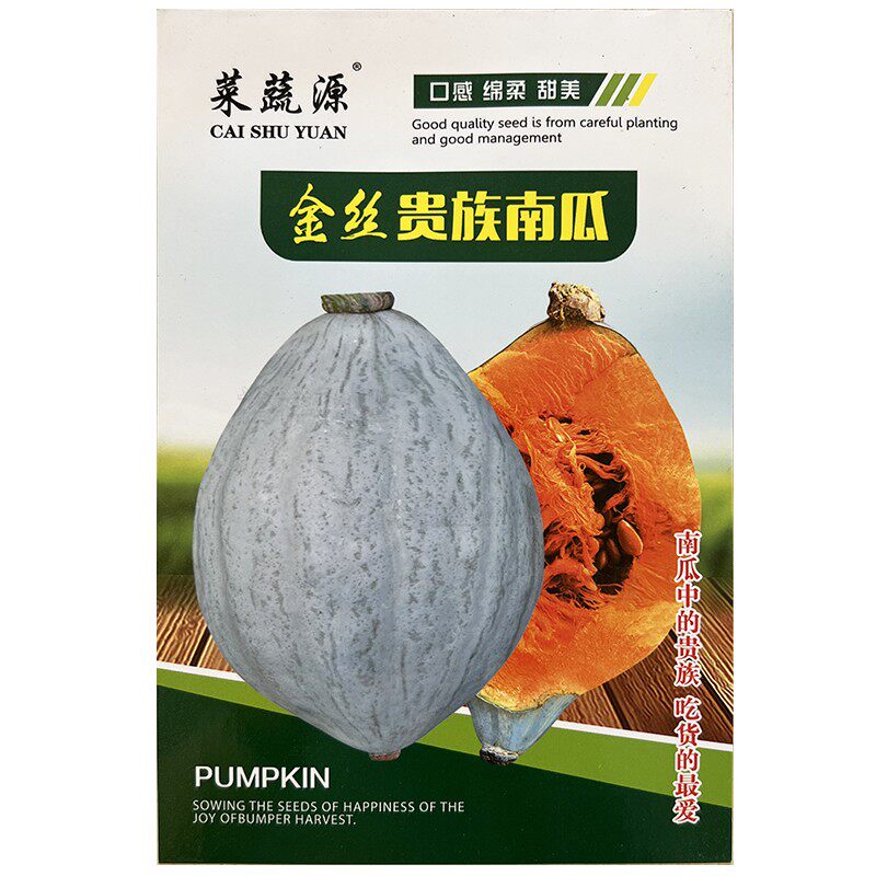 金丝贵族南瓜种子丑瓜板栗味南瓜种籽苗贝贝板粟孑高产香甜糯基地