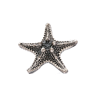 NovaLee台湾进口欧式复古现代酒柜鞋柜门新创意家具贝壳拉手把手