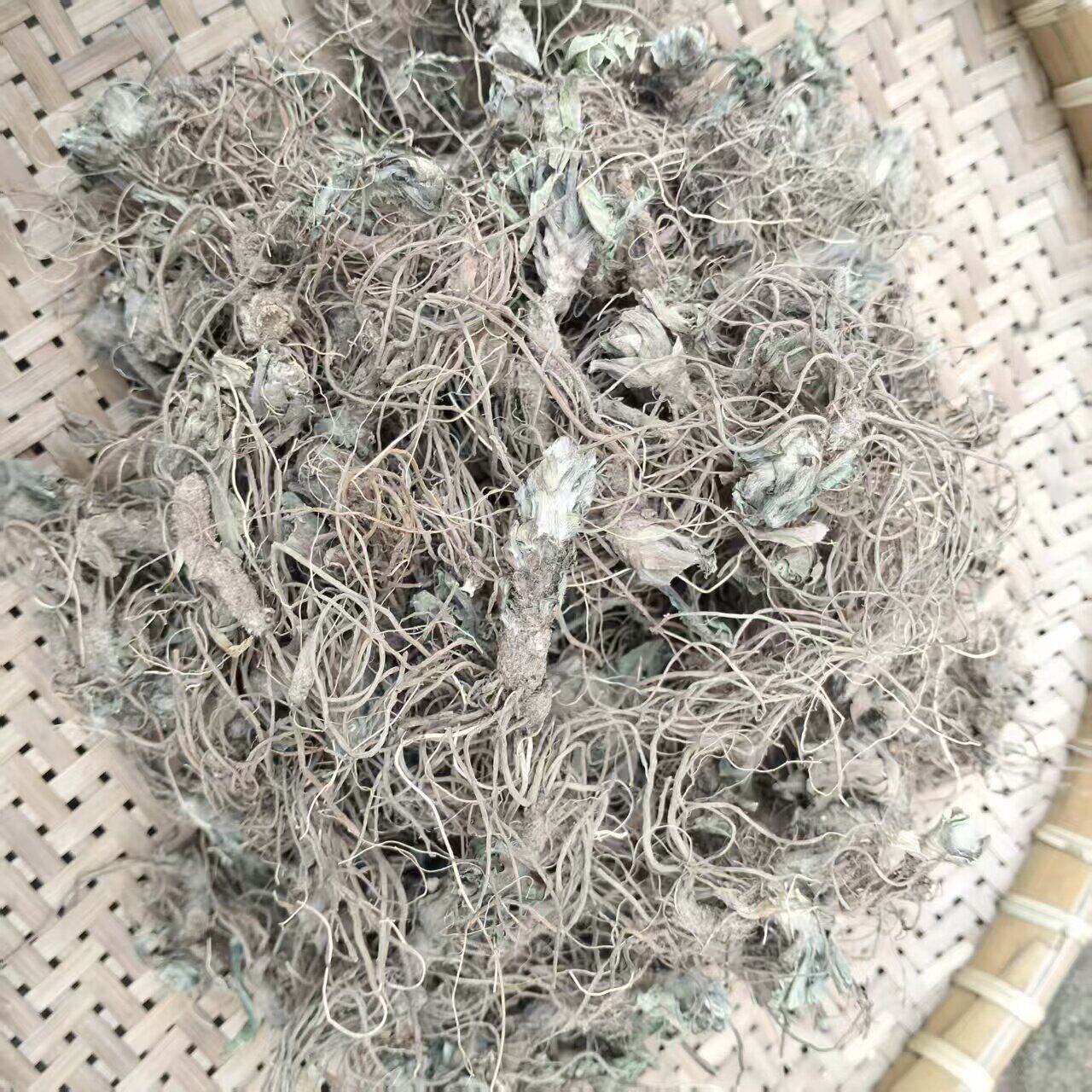 野生新货地胆头晒清热地胆草根煲炖汤料包红花地斩头草鞋根羊耳草