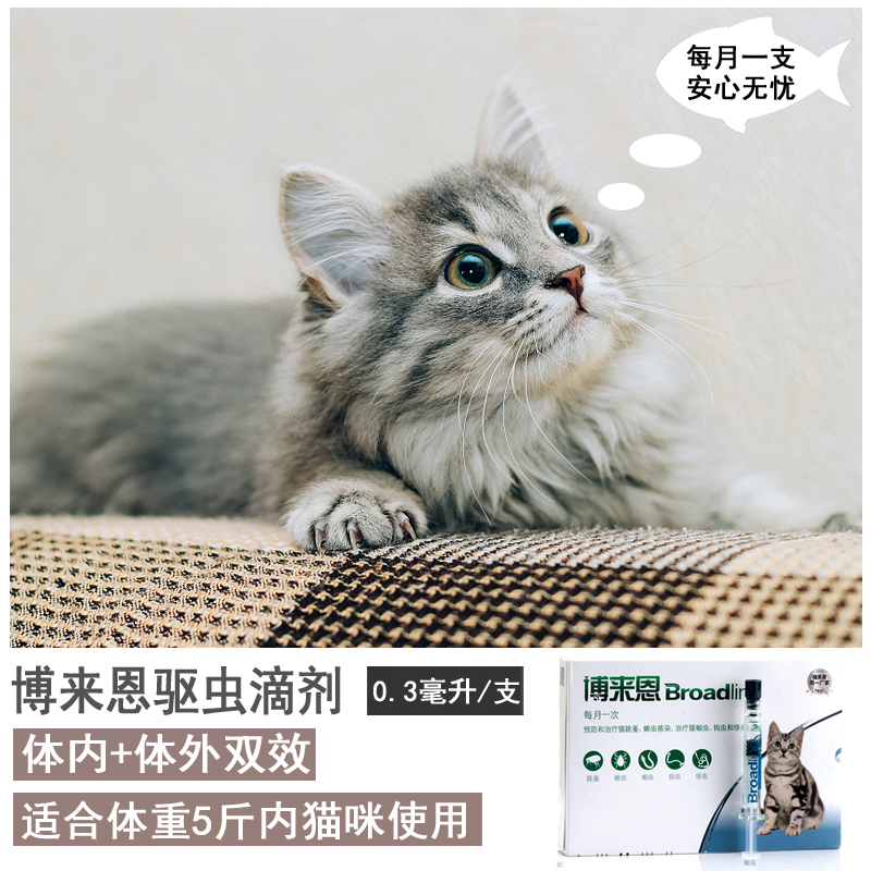 博来恩内外驱虫猫咪专用体外除跳蚤蜱虫去体内蛔虫幼猫用双效滴剂
