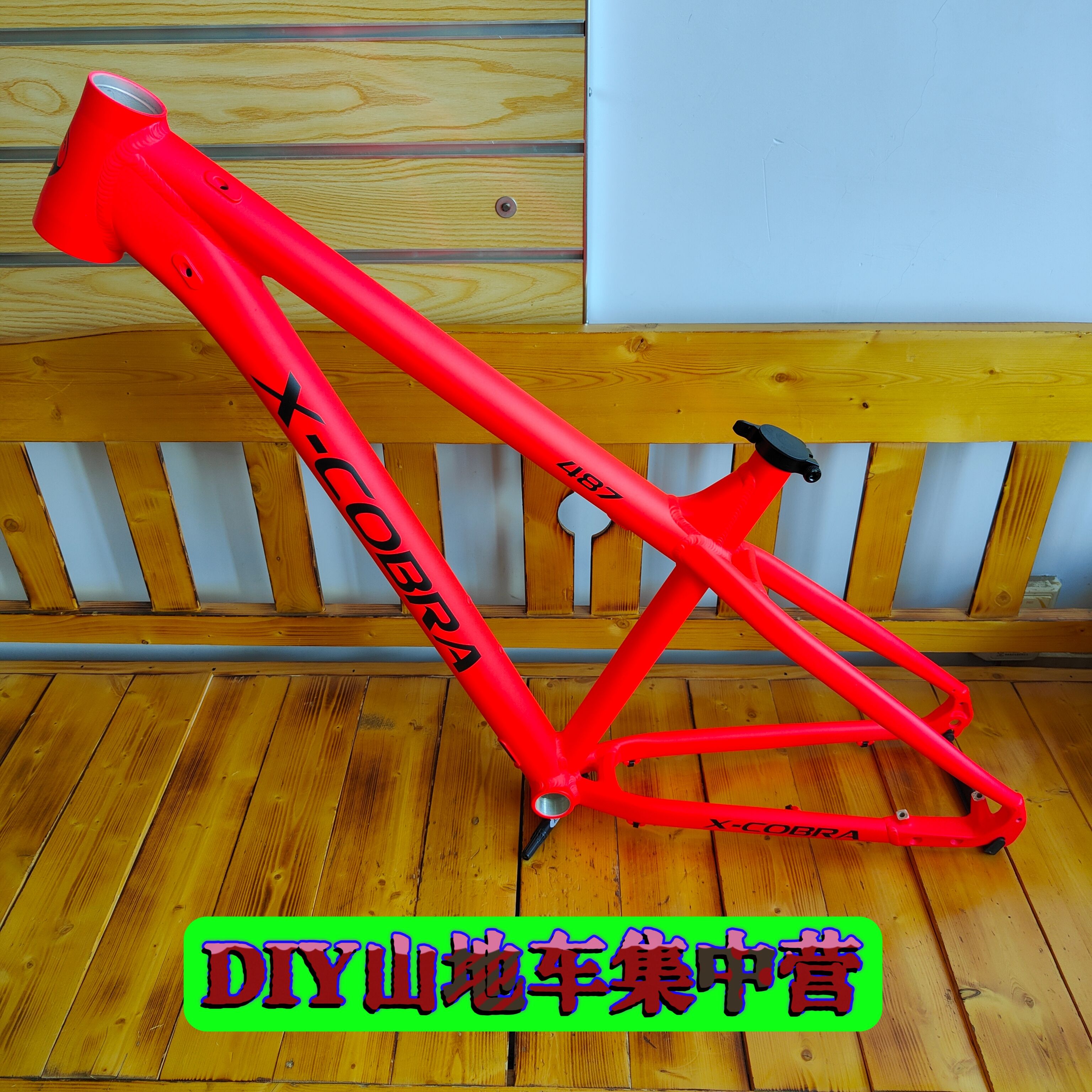 2025新款眼镜蛇487硬尾车架绝版586车架