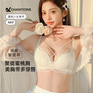 聚拢内衣女小胸显大收副乳防下垂纯欲蕾丝2025春夏新款 美胸带文胸