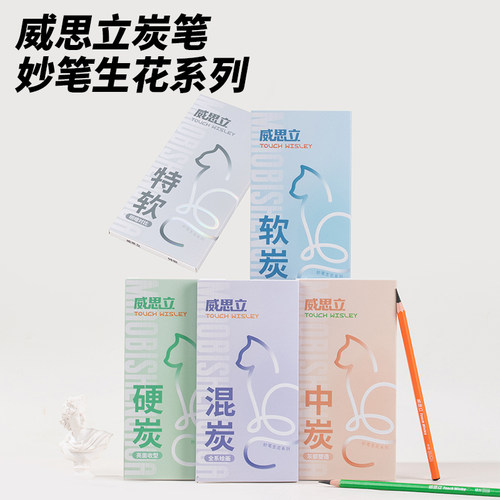正品威思立炭笔美术生素描套装