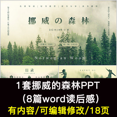 读书分享会 挪威的森林 名著导读后感阅读分享ppt模板课件