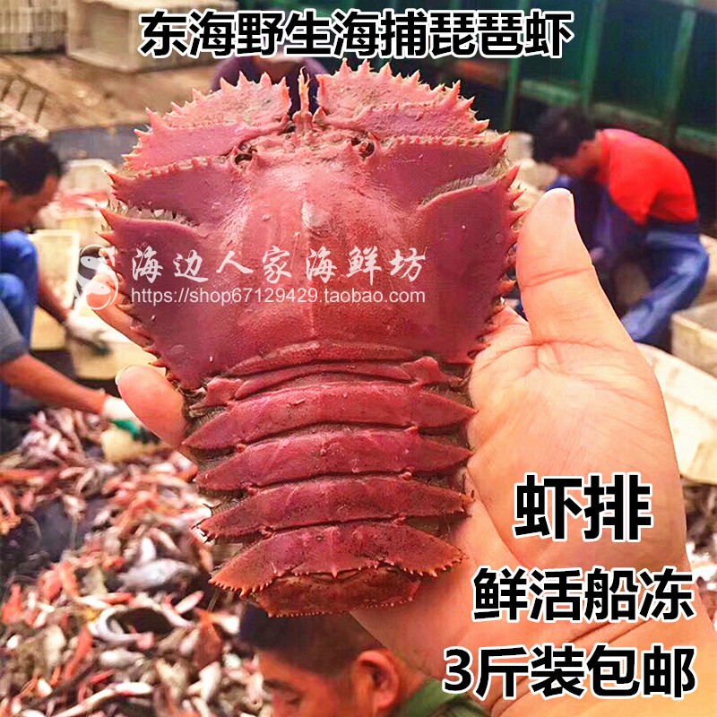东海琵琶虾野生虾姑排鲜活冷冻九齿扇虾新鲜深海虾冻虾3斤装包邮