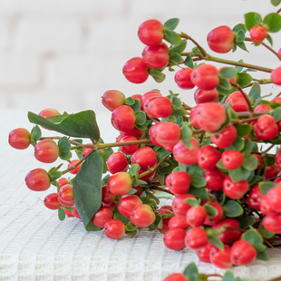 红豆鲜花配草云南基地直发草花搭配室内插花花束搭配