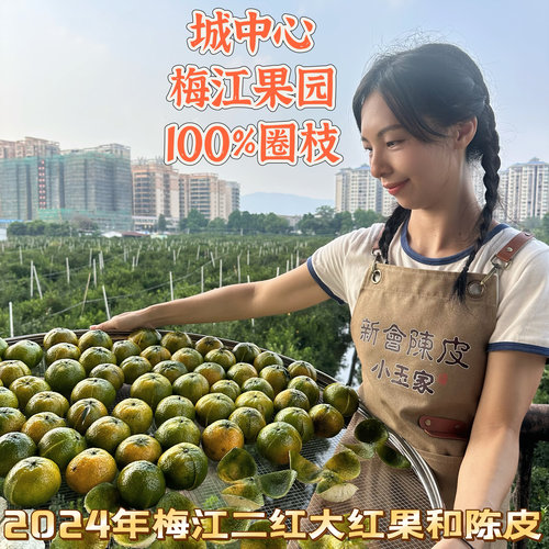 【梅江大红】年中囤皮季100 ％梅江二红大红新会陈皮茶枝柑