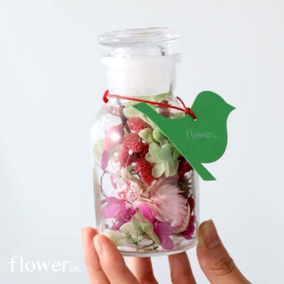 [花花能量瓶]植物图书馆全国快递创意永生花礼节日送女友纪念礼物