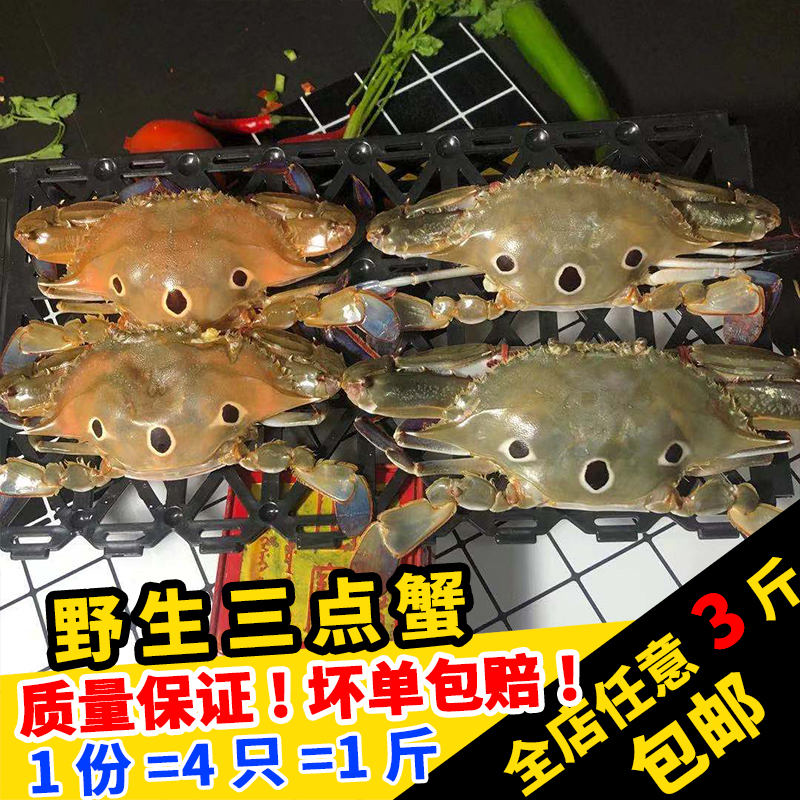 福建闽丰渔野生带黄三点梭子蟹四只一斤鲜活满膏蟹深海新鲜三眼蟹