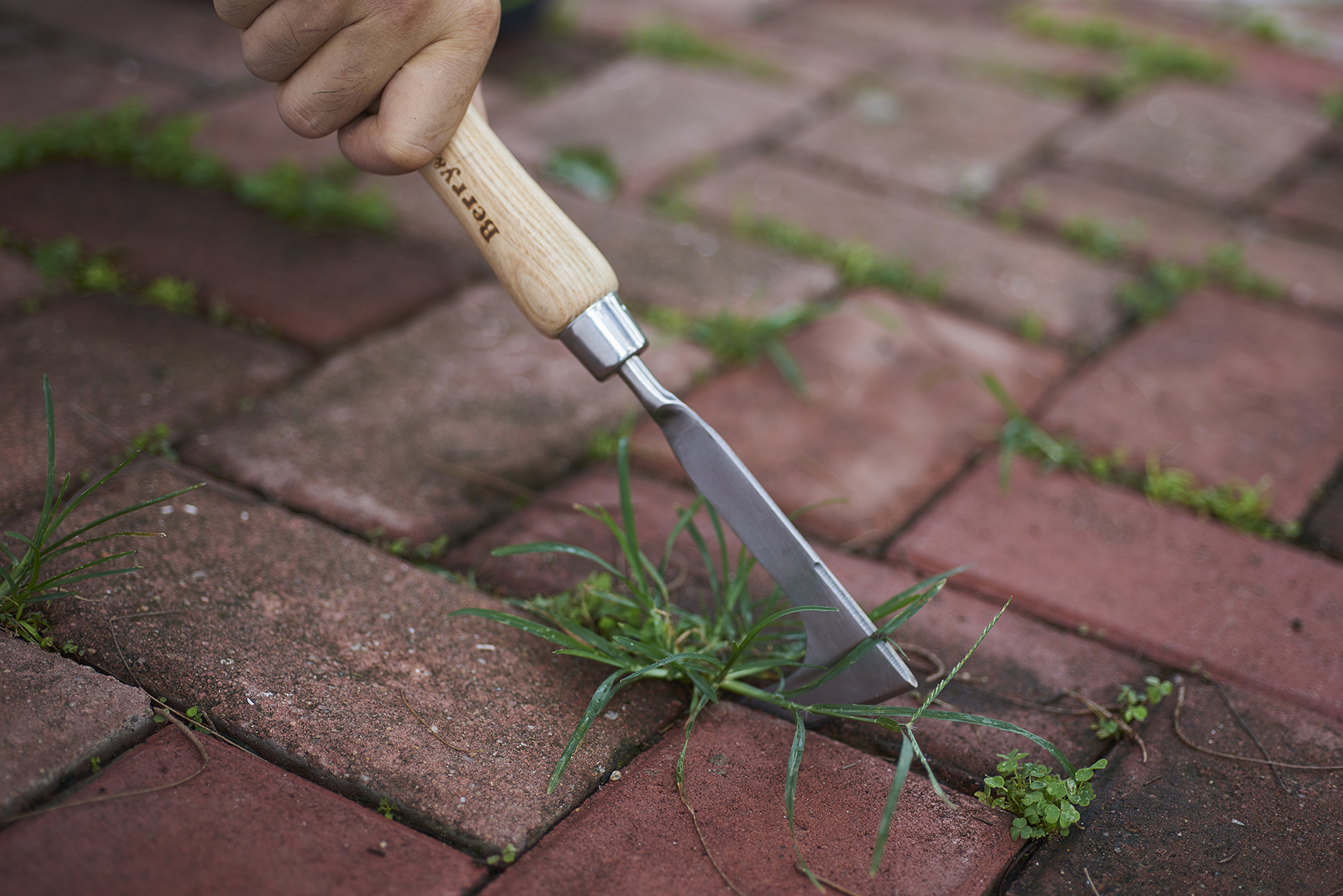 除草不锈钢木柄园艺工具