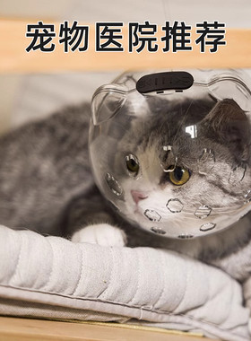 猫咪头套防舔防打架球形套猫项圈