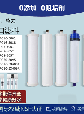 适配格力净水器机WTE-PC16-5081/5088/5051/5052/5057/5X608A滤芯