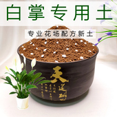 白掌专用土弱酸性通用型营养土家庭园艺换盆透气不板结花卉配方土