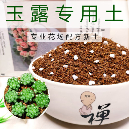 玉露专用土多肉植物培植土壤组合盆栽花卉精品肉肉老桩通用营养土