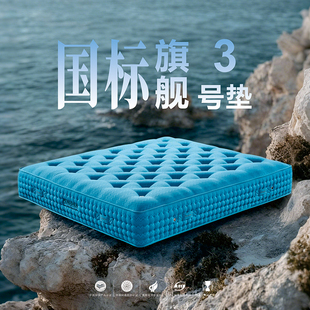 【梦神门店同款】【国标旗舰3号垫】海浪记忆棉双弹簧系统席梦思
