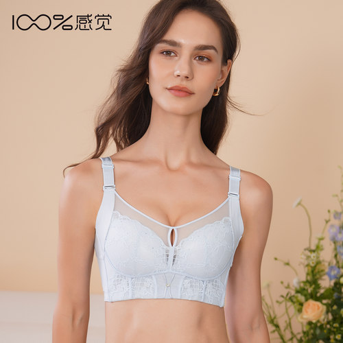 100%感觉C杯薄款蕾丝记忆钢圈聚拢调整四排五扣大胸显小内衣1748