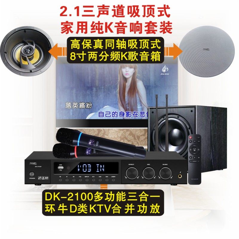 天韵6.5寸/8寸吸顶式音箱配双手持话筒三合一D类功放K歌音响套装