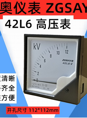厂家直销 ZGSAYB 沈奥 42L6 10KV/100V   交流 电压表 高压表
