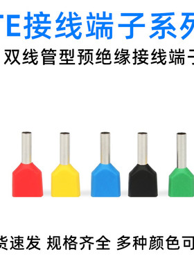 TE2513双线管型预绝缘端子 冷压接线端头 两根线并头接线铜鼻子