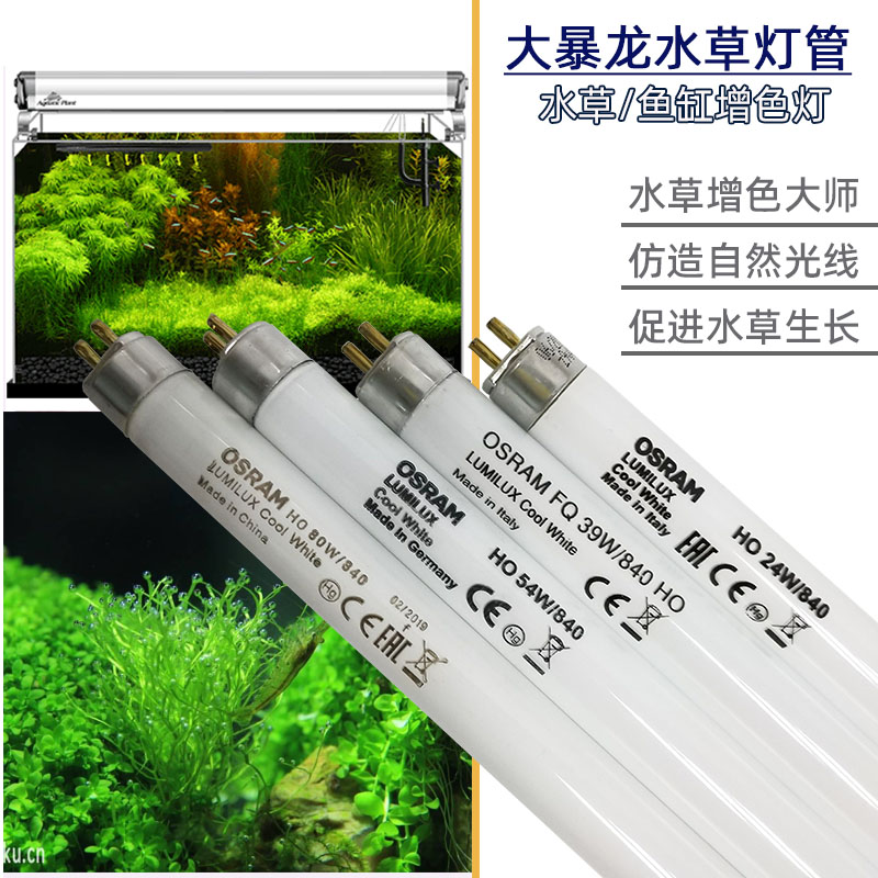 翼龙鱼缸雷龙水族箱全光谱灯管